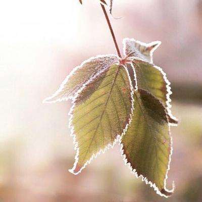 万博max官方入口